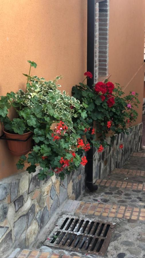 La Casetta Di Elena Lamezia Terme Luaran gambar